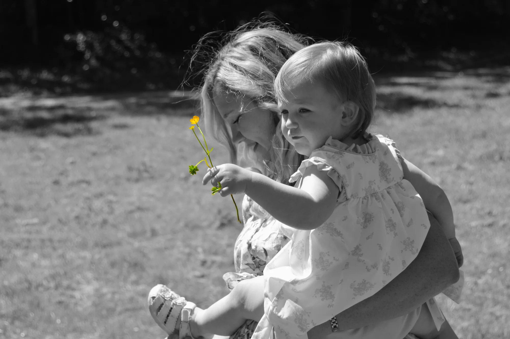 Older sister holds baby examining yellow flowers in selective color.