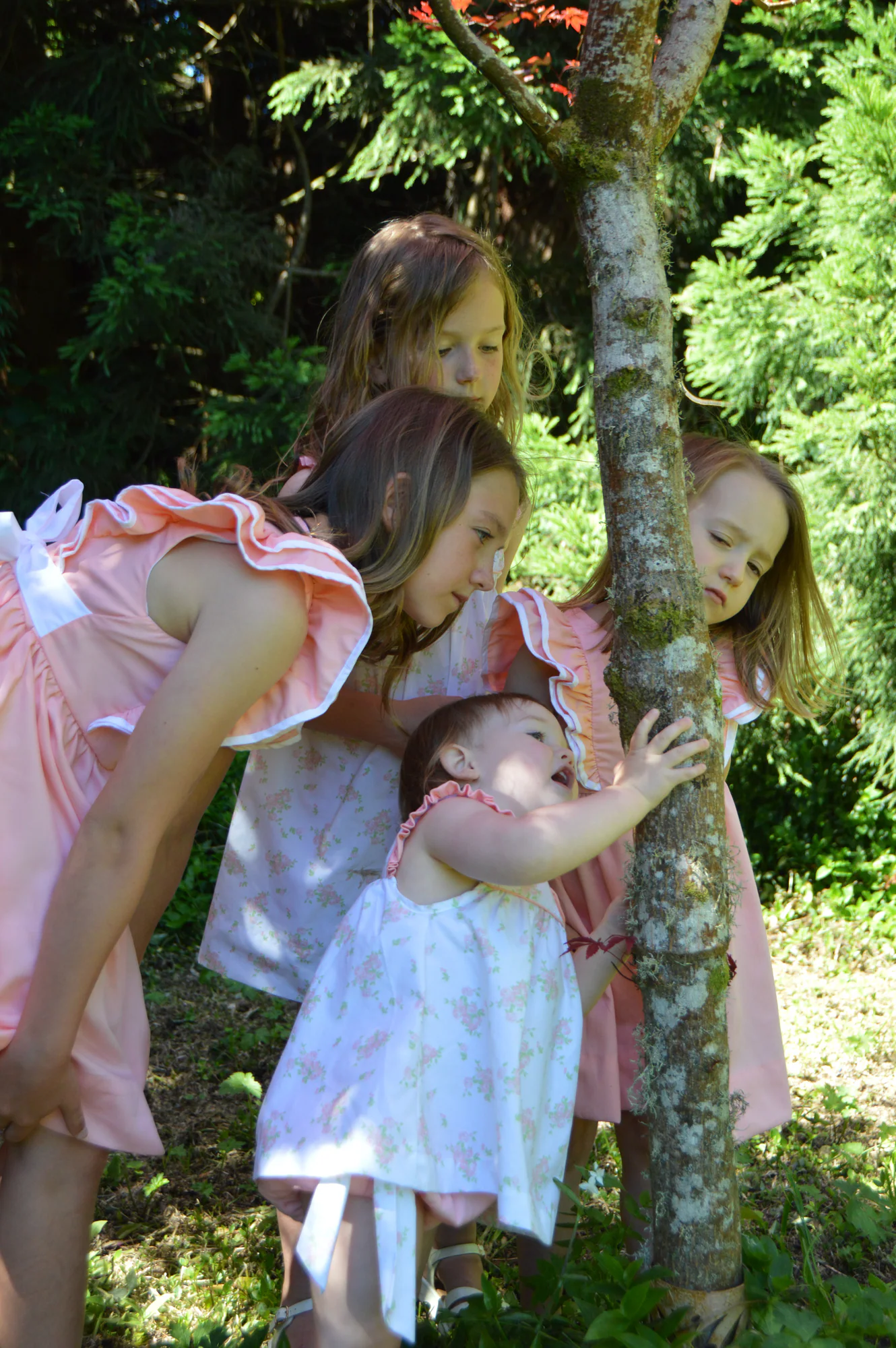 Four sisters crowd curiously around a slender tree trunk.